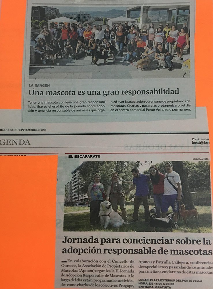 Recortes de prensa de la II Jornada de Adopción responsable