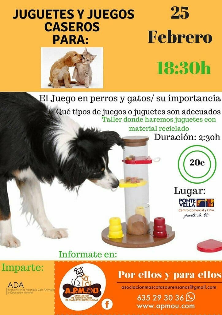 Juguetes y juegos caseros para perros y gatos - APMOU