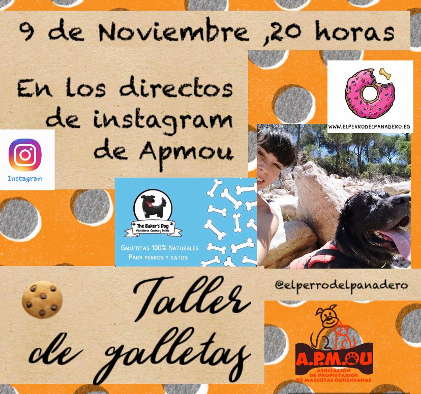 Taller de Galletas